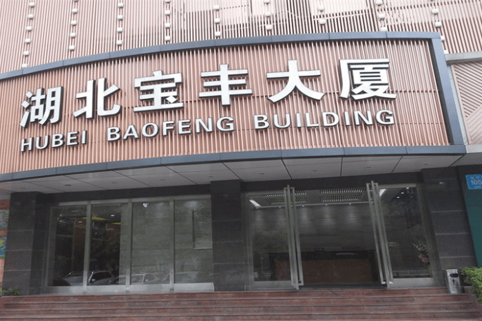 湖北宝丰大厦